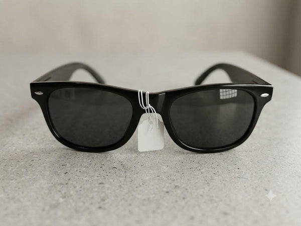Classic Wayfarer Style Sunglasses